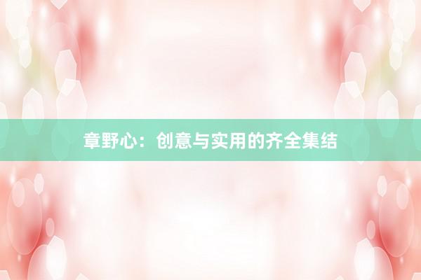 章野心：创意与实用的齐全集结